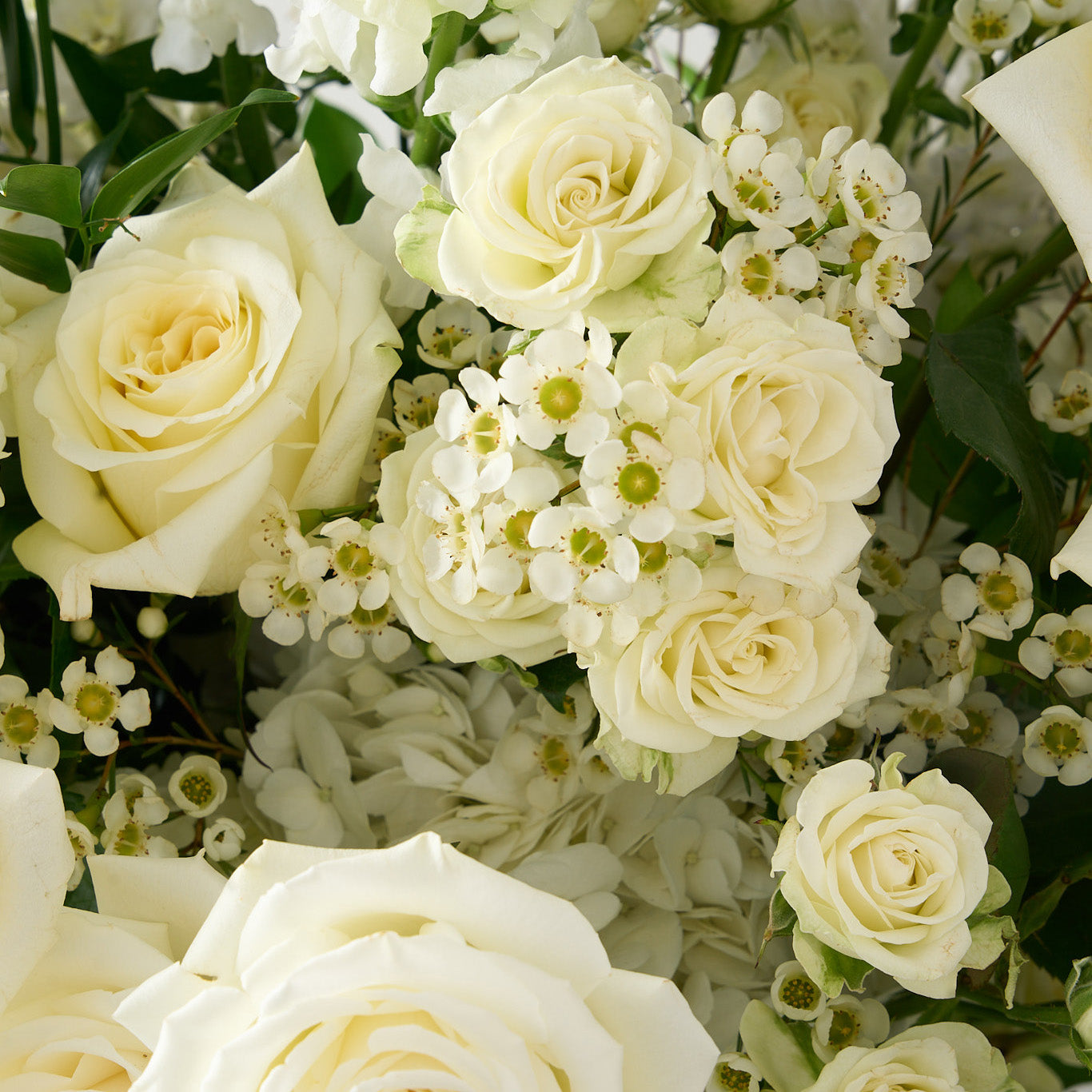 up close photo of Candlelight roses, white delphiniums and hydrangeas with whimsical Italian ruscus. 