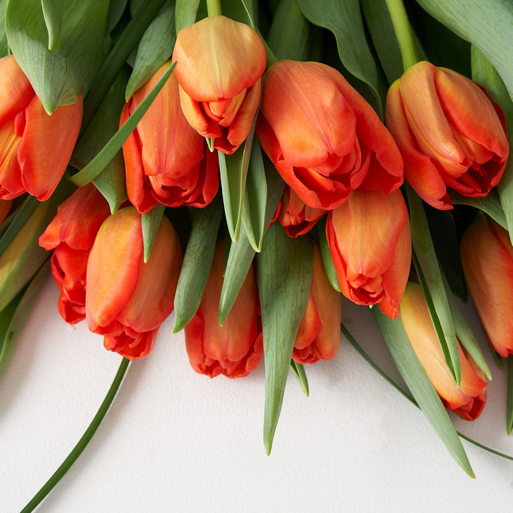 up close photo of orange tulip bouquet