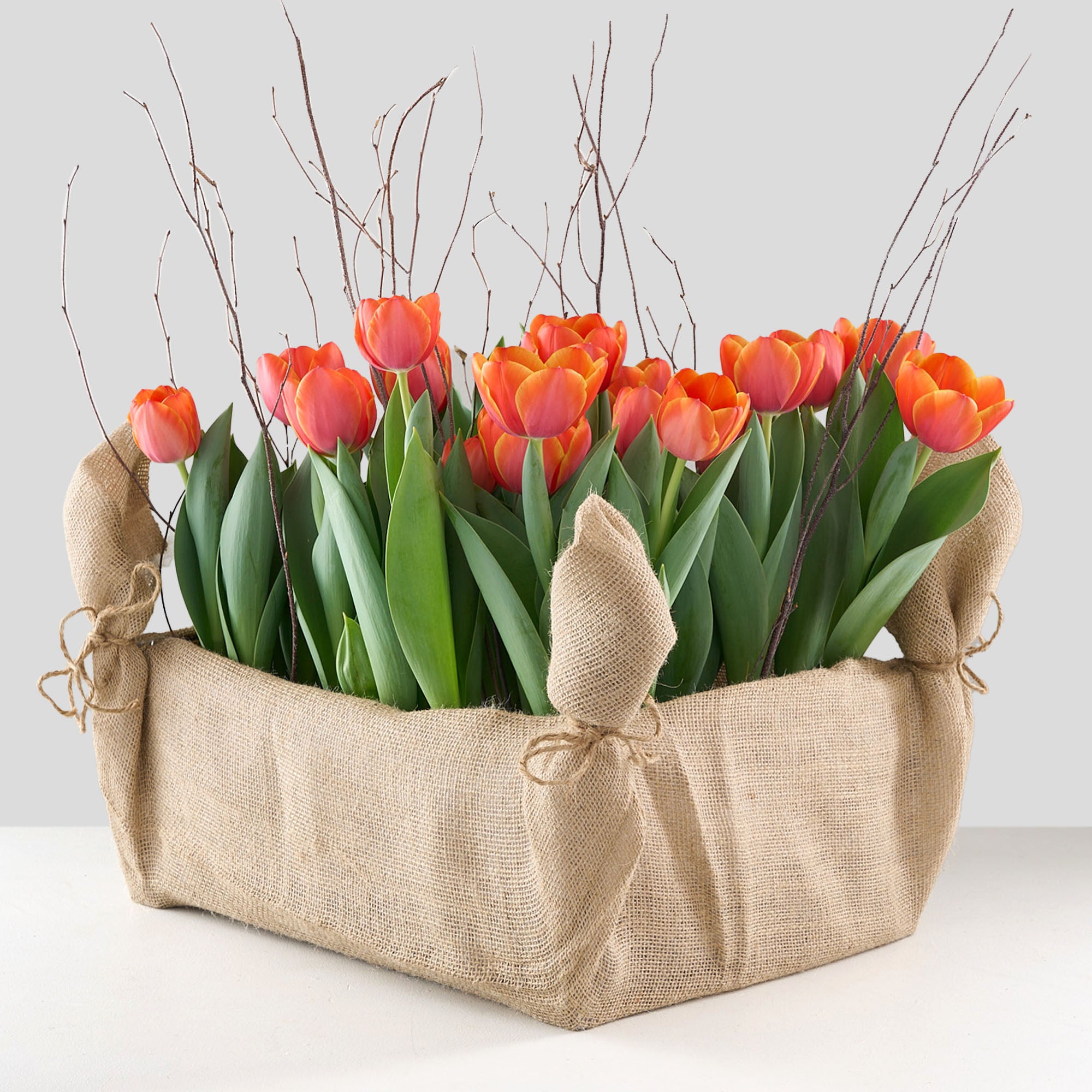 40 orange tulips in a burlap crate