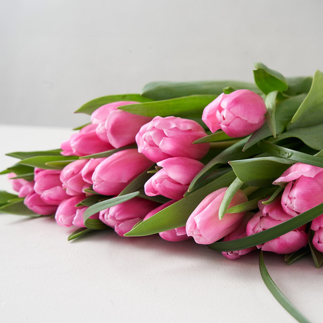 Display of pink tulips set upon a white table