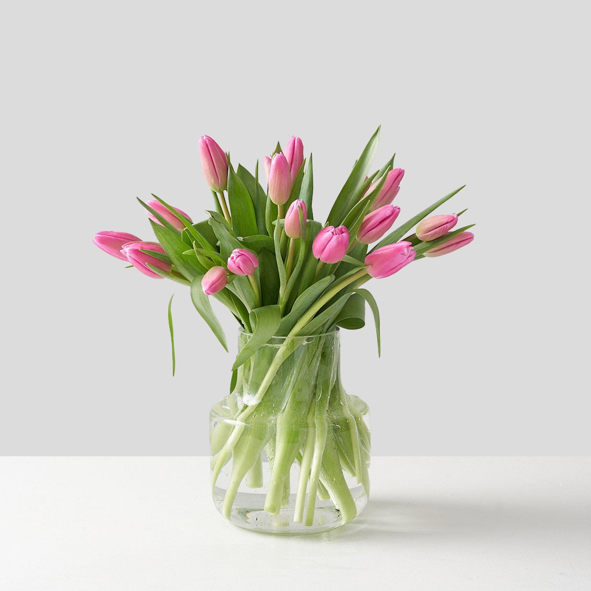 Pippa (Arranged Pink Tulips)