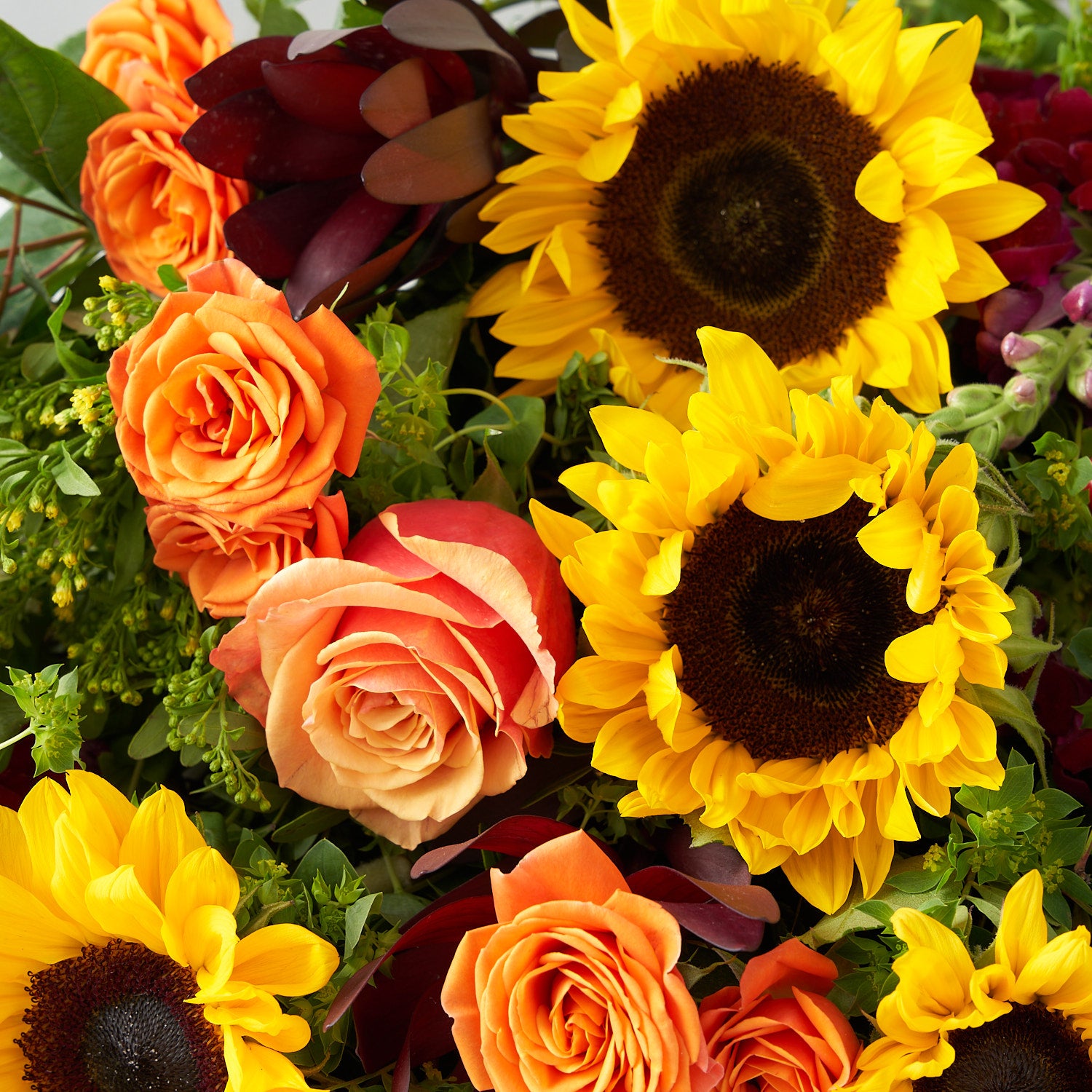 Close up of sunflowers, kahala roses, free spirit roses, and greenery