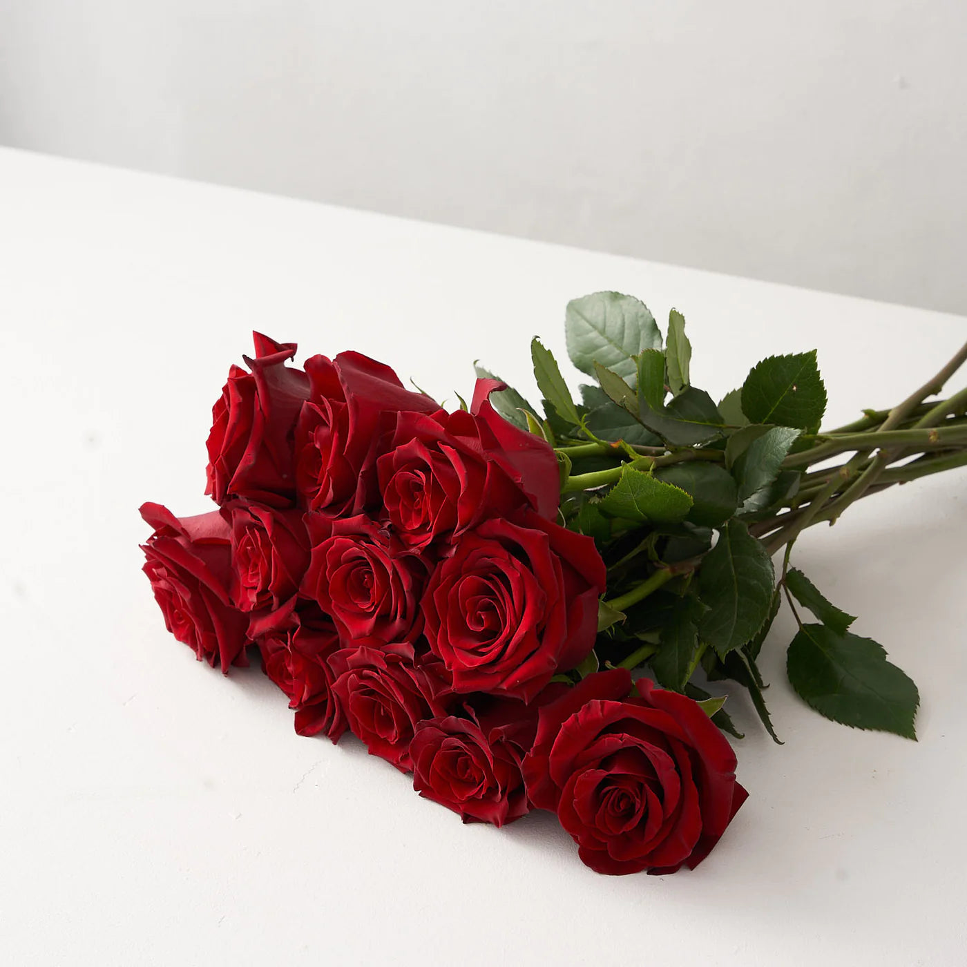 One dozen deep red roses set upon a white table