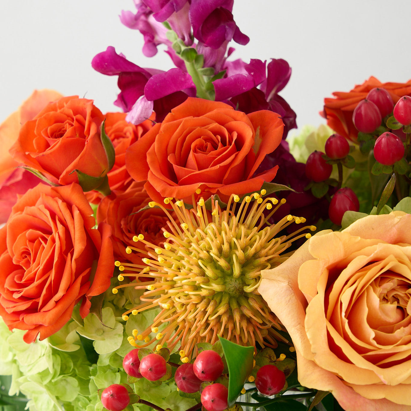 coral roses and hiypericum, green hydrangea , orange spray roses, fuchsia snapdragons, and protea in a Up close 