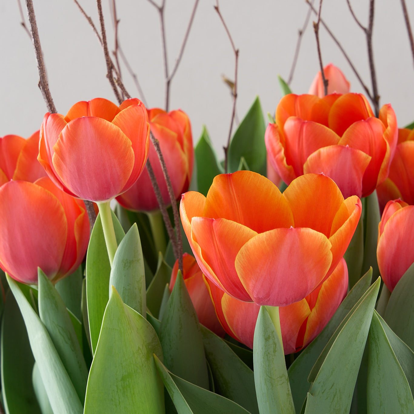 Orange Tulip Crate