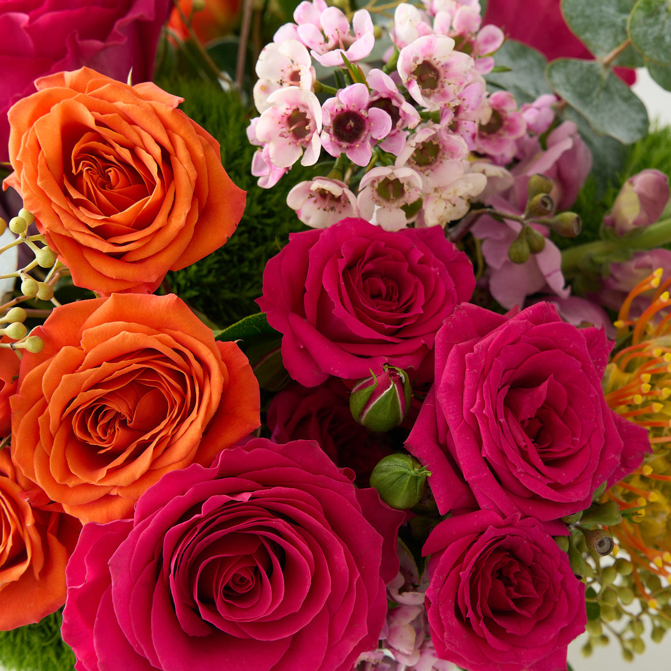 close up photo of colorful Easter flowers .