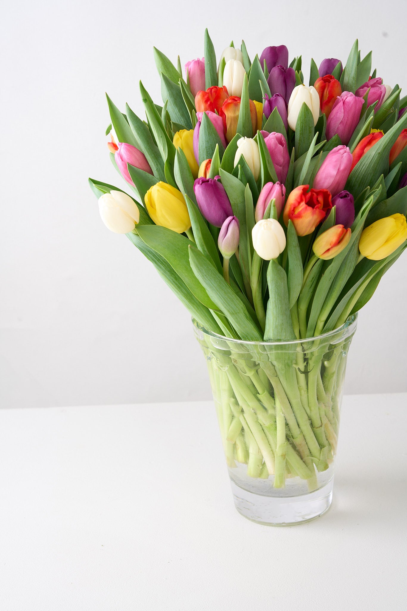 Mixed Tulips in Premium Bergs Vase