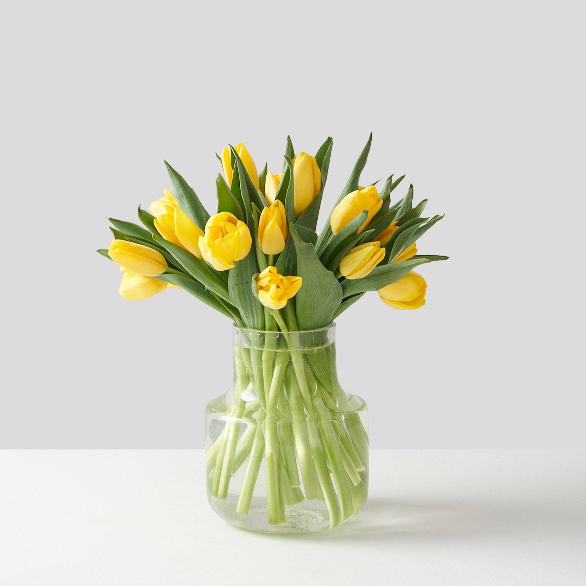 Yasmine (Arranged Yellow Tulips)