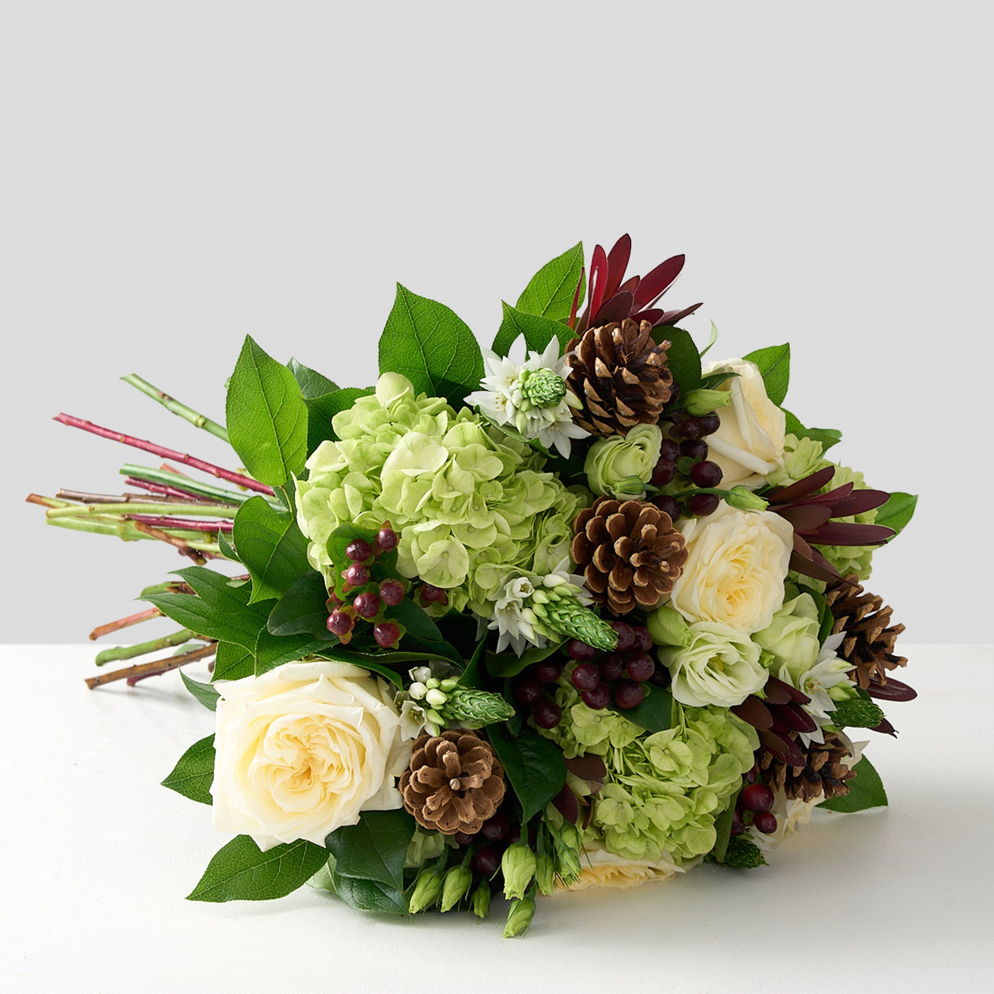 hand-tied bouquet showcasing white roses, star of Bethlehem, pinecones, green hydrangea, and touches of burgundy hypericum and protea.