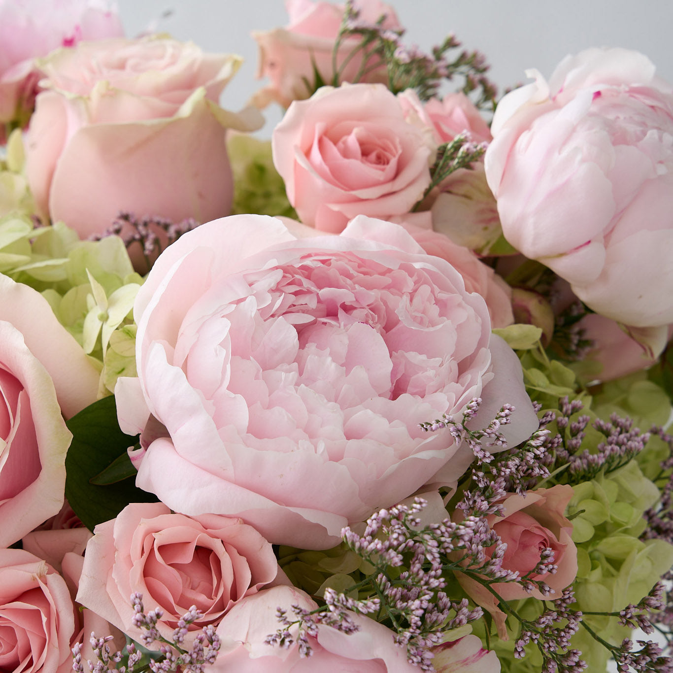 Pink peony with pink roses and green hydrangea