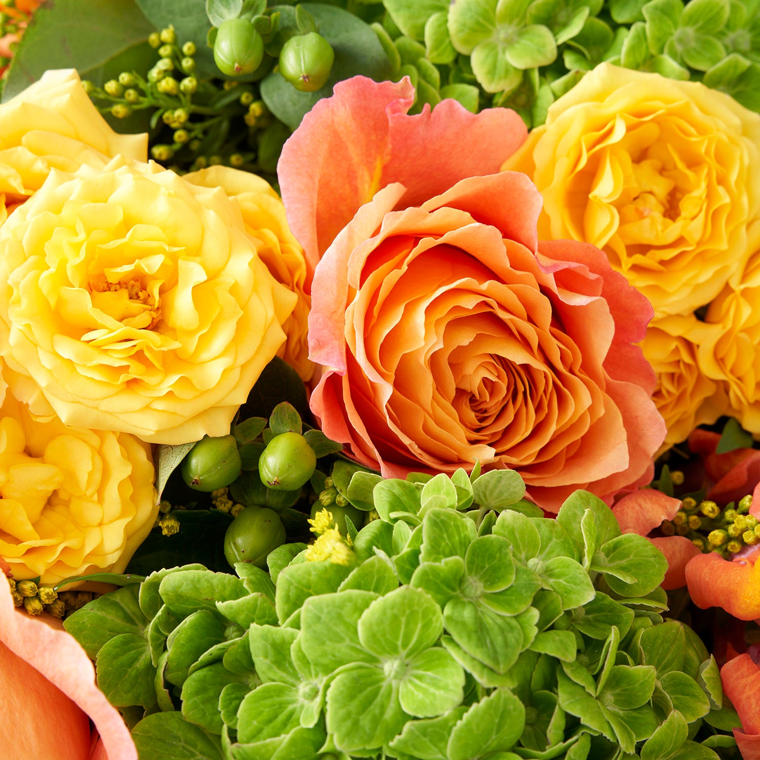 Closeup of green hydrangea, orange Free Spirit roses ,and yellow spray roses.