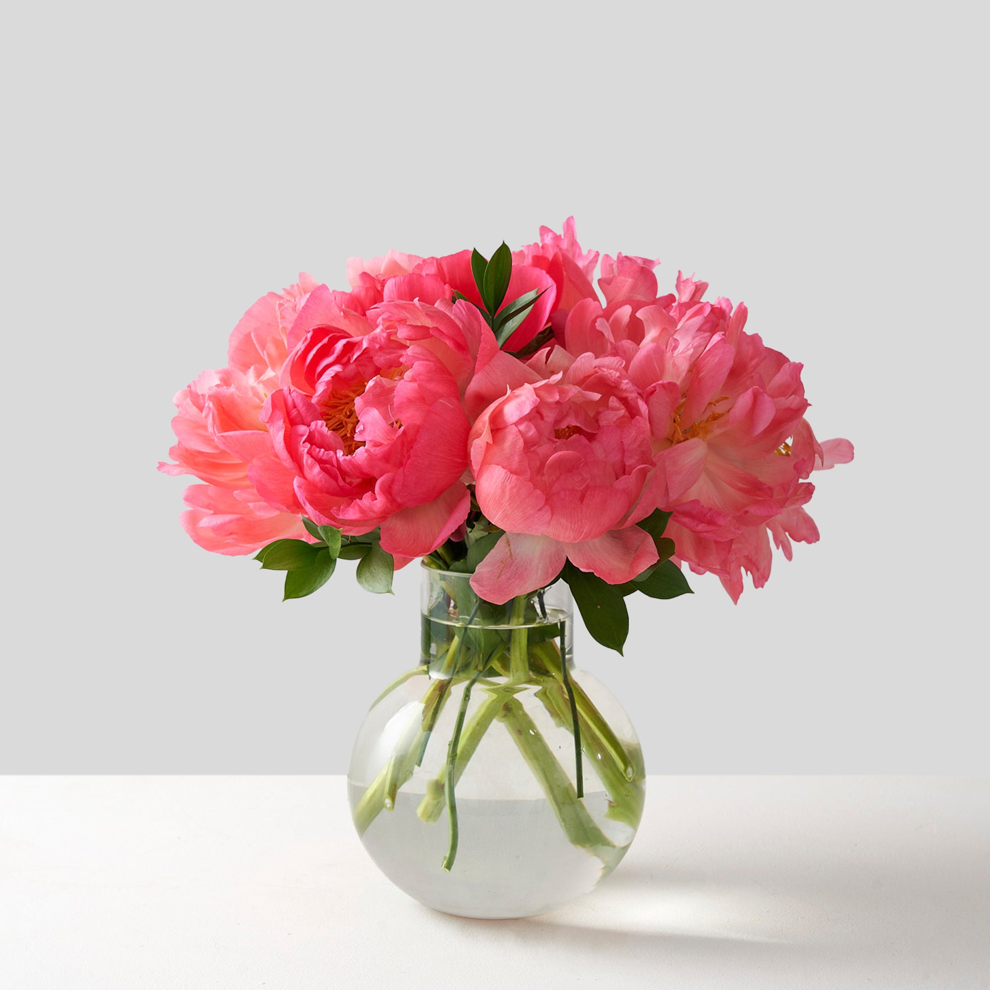 Coral sunset peonies with greenery in a round clear glass vase