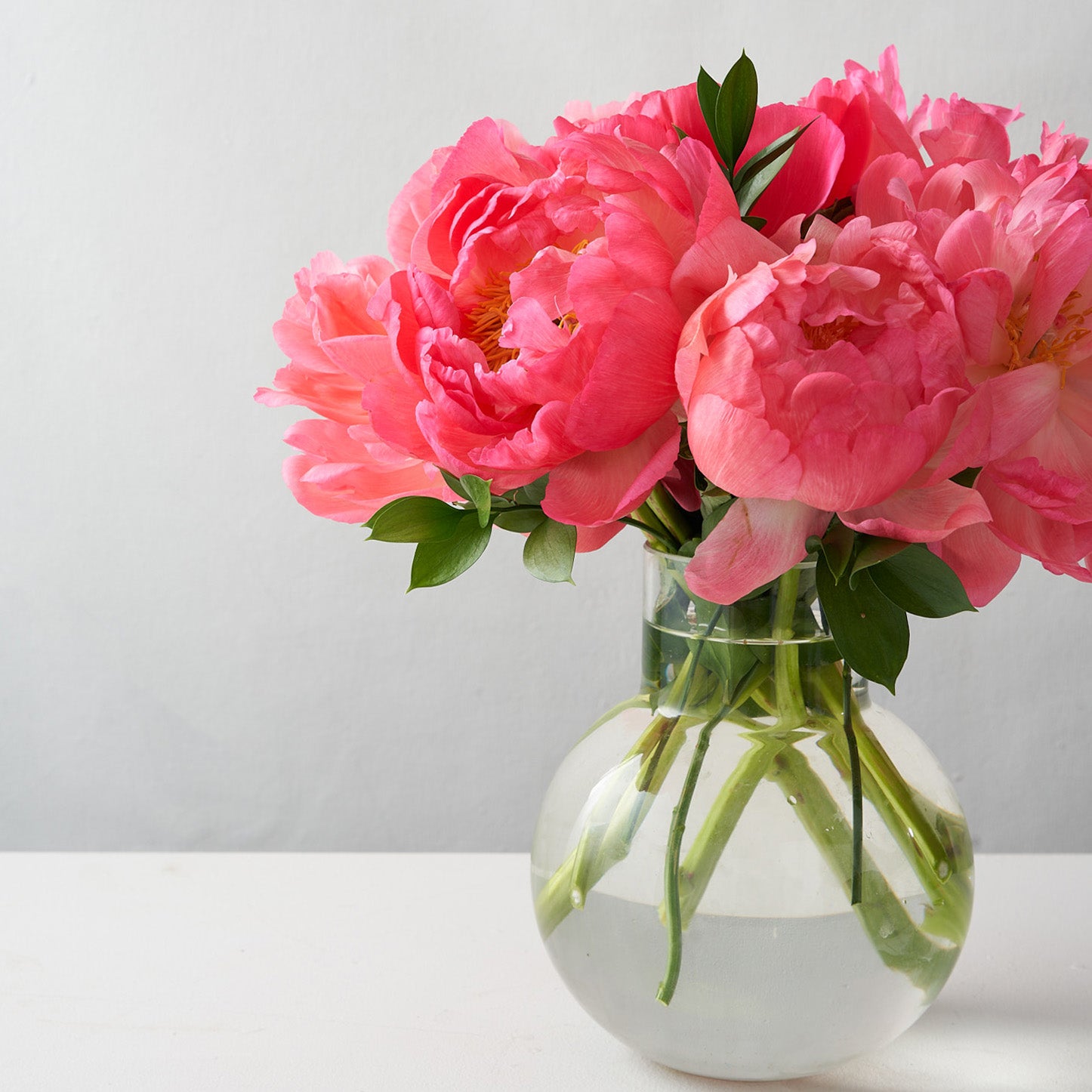 Round glass vase with coral peonies