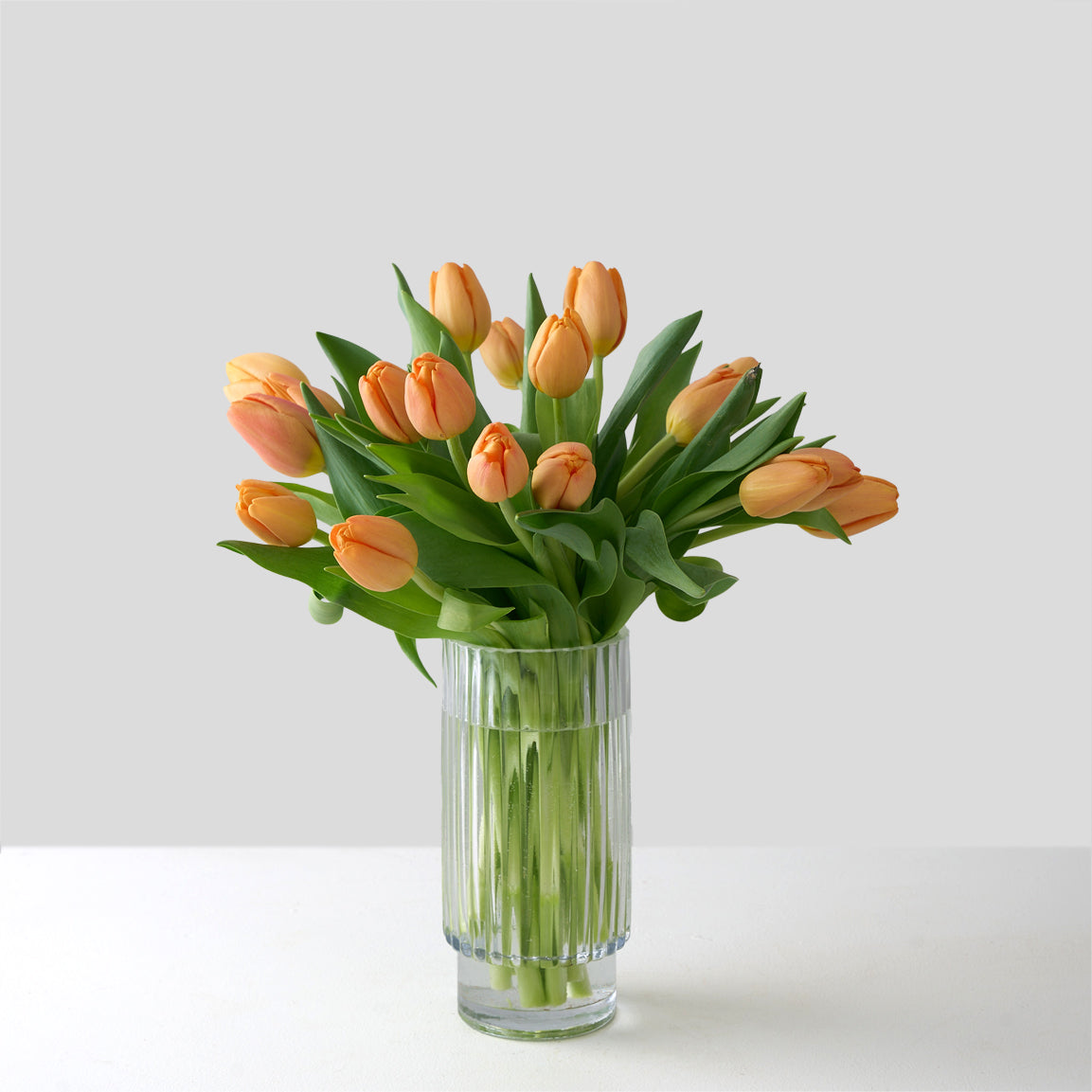 Oprah (Arranged Orange Tulips)