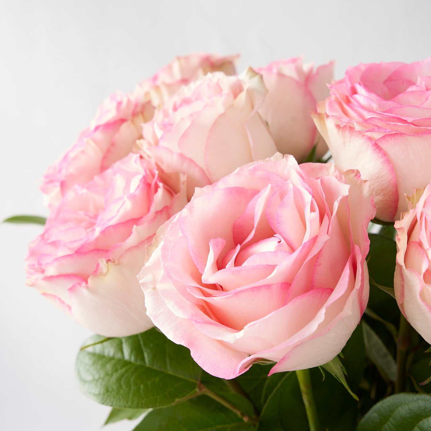 Arrangement floral de 12 roses « Esperance »