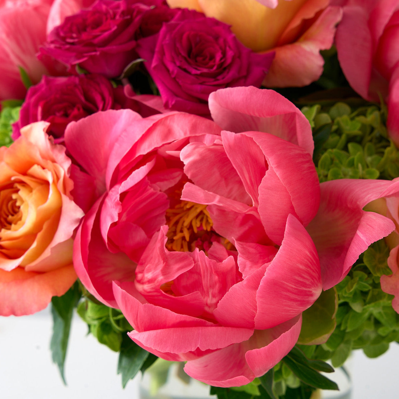 Close up view of a peony with roses in the background