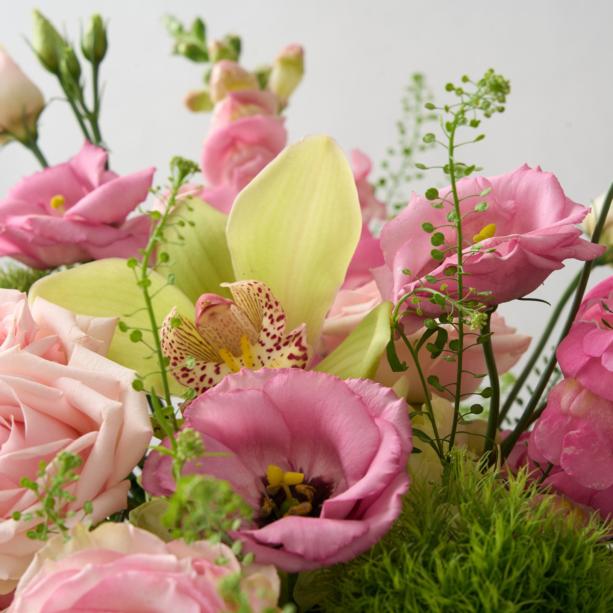 up close photo of arrangement with pink roses, green trick mums, snap dragons in a low glass genie vase 