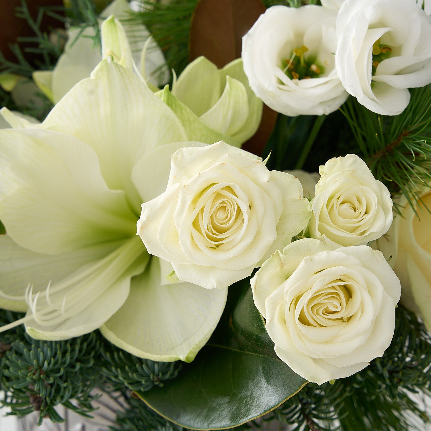 close up picture of a floral arrangement with magnolia leaves, white hypericum, lisianthus, roses and amaryllis with winter greens