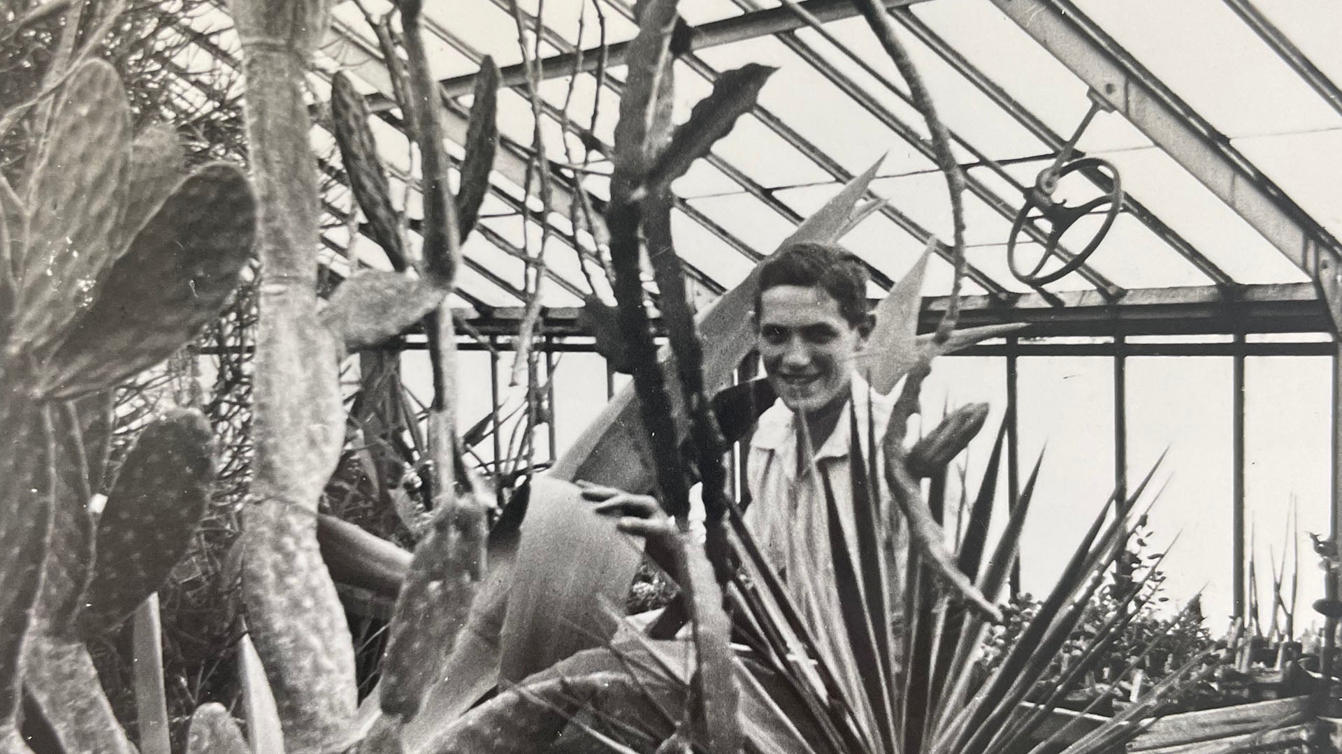 Black and white photo of young man in a green house filled with cactus and other exotic plants.