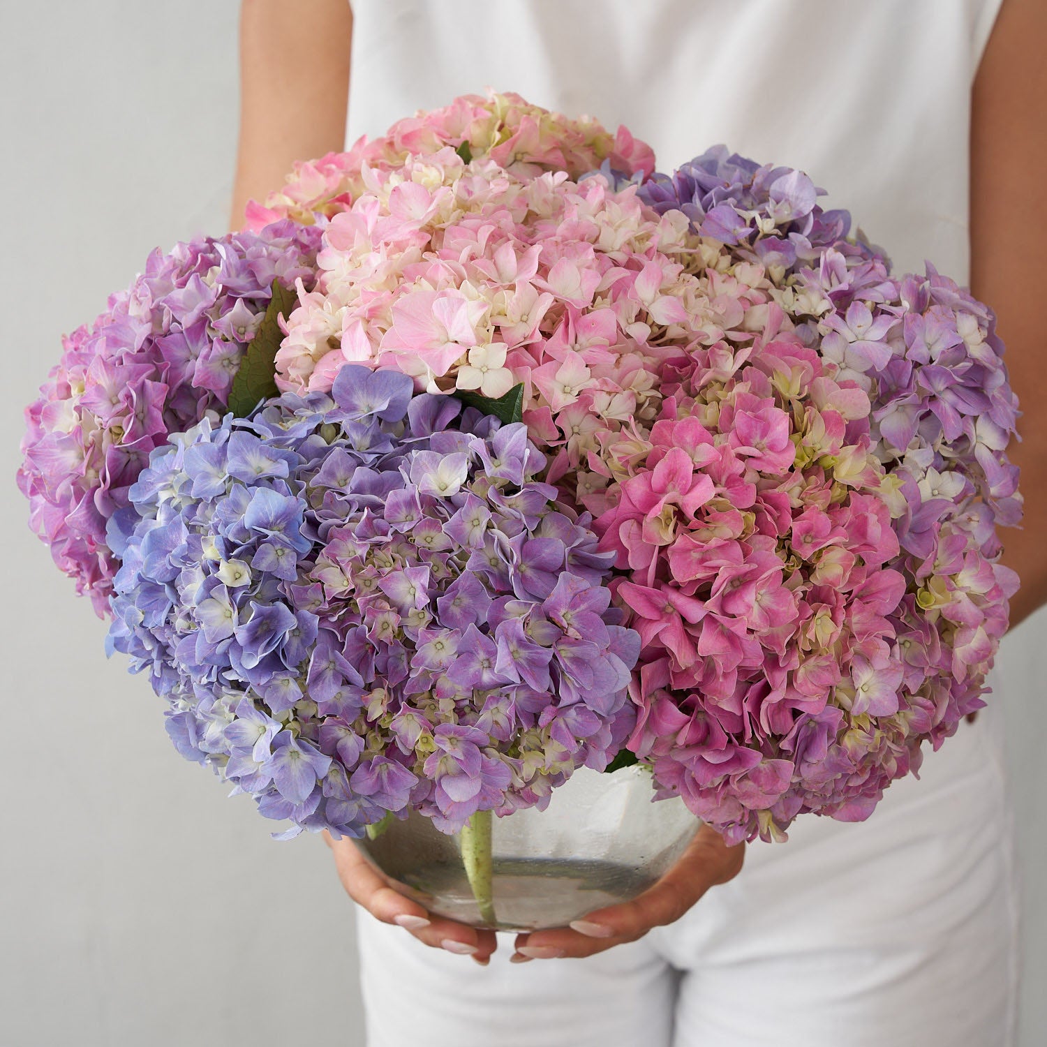 girl in white holding purple hydrangea