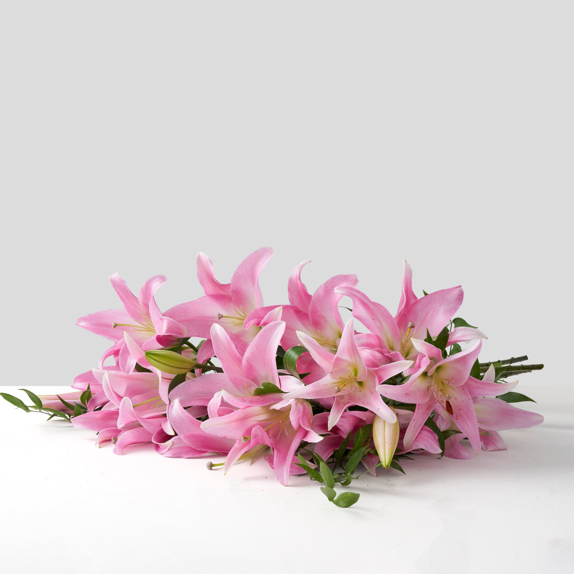 Bouquet of pink lilies on white background.