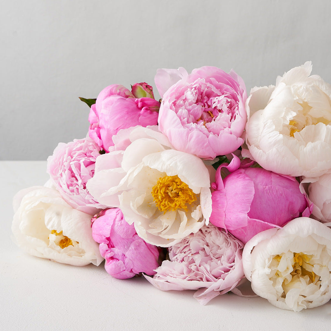 Mixed bouquet of white, pink and pale pink peonies