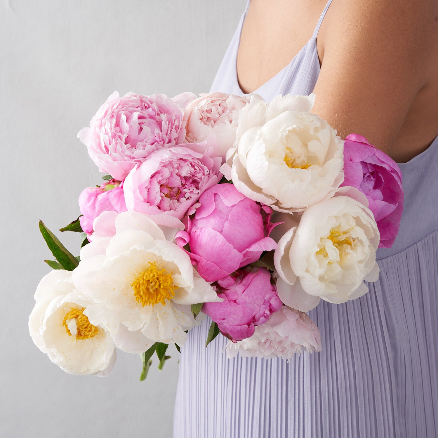 Girl in purple dress holding a mix of white, pale pink and fuchsia colored peonies