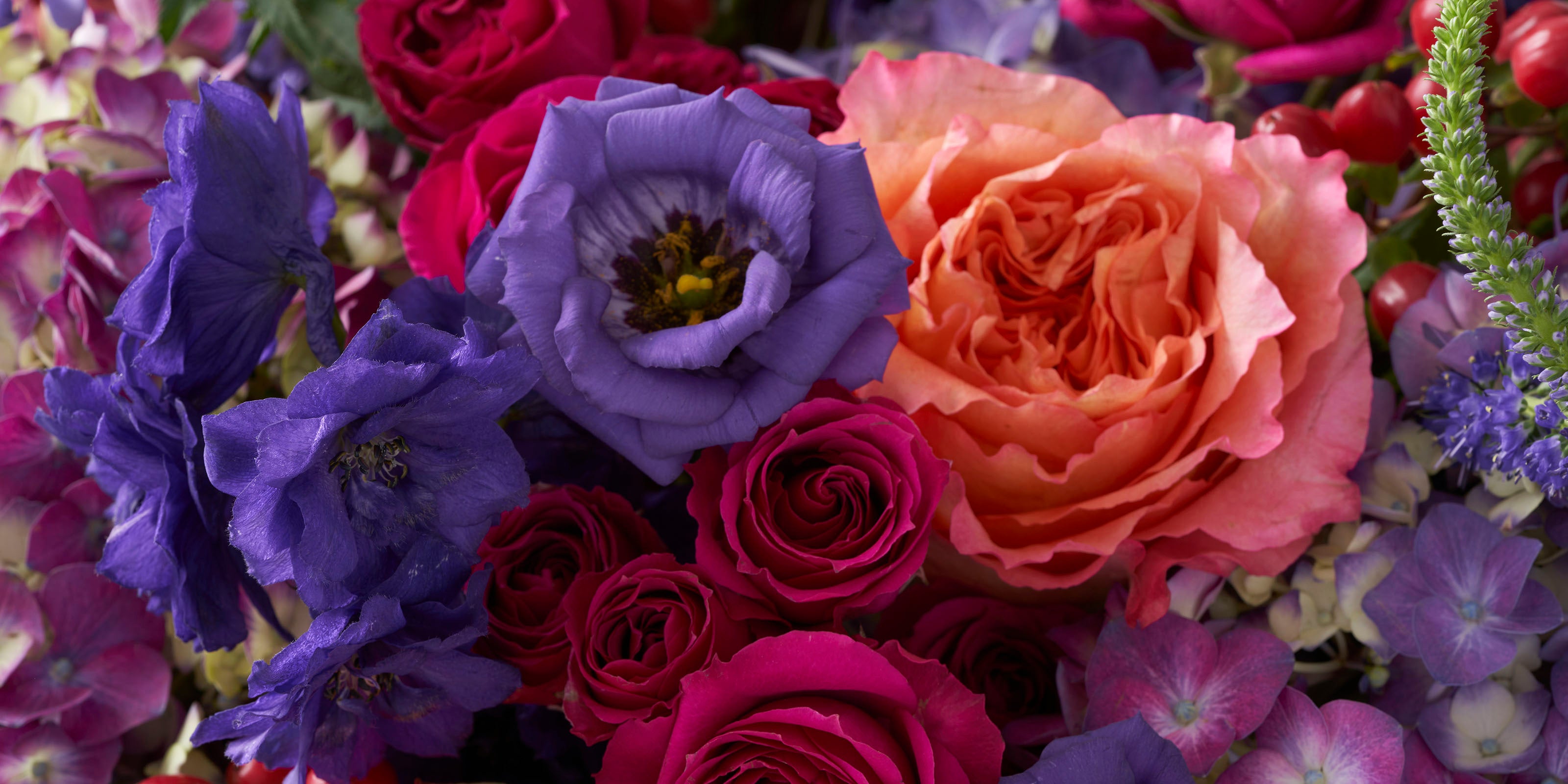 Closeup of orange, fuchsia and purple flowers including roses hydrangea and lisianthus.