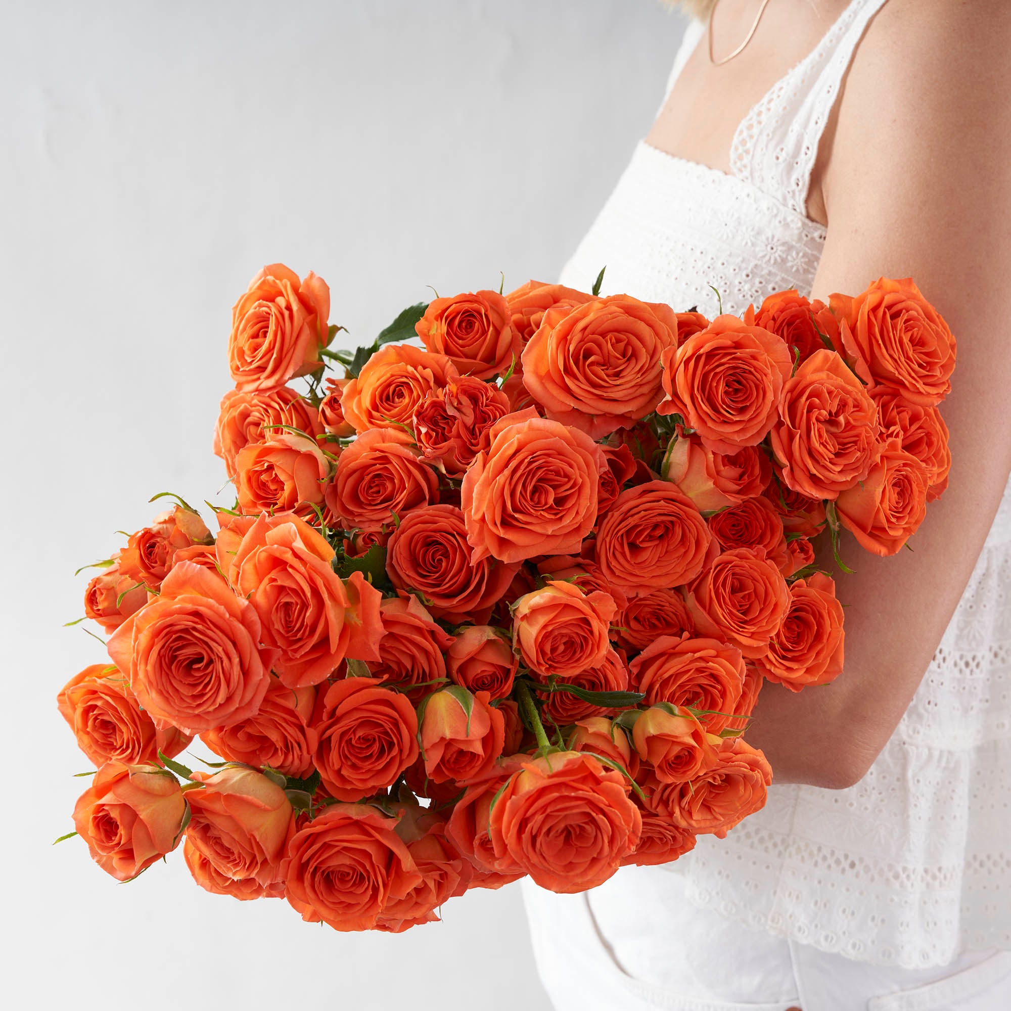 Orange spray roses