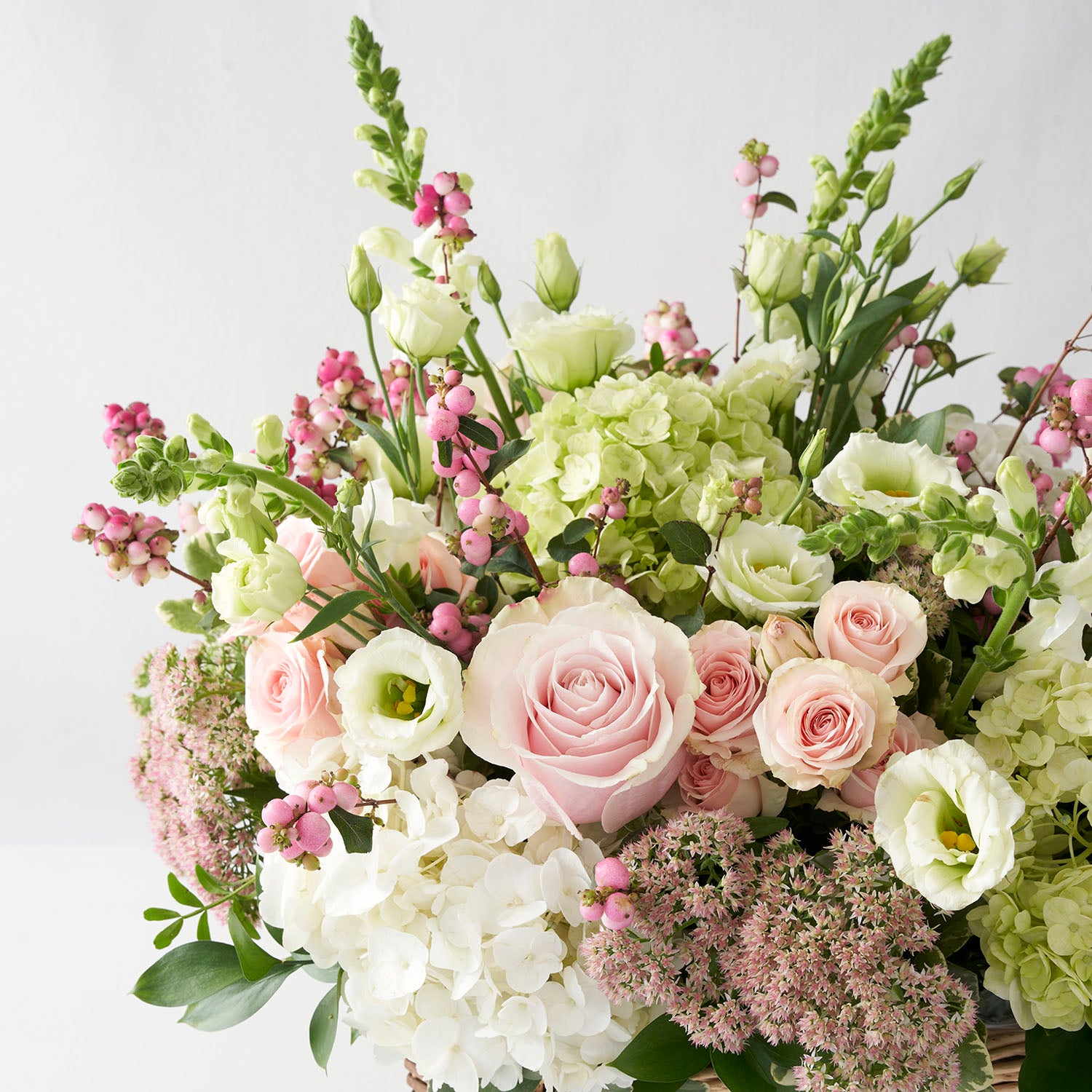 Closeup of soft green hydrangea, pale pink Mondial roses with white lisianthus on white background.