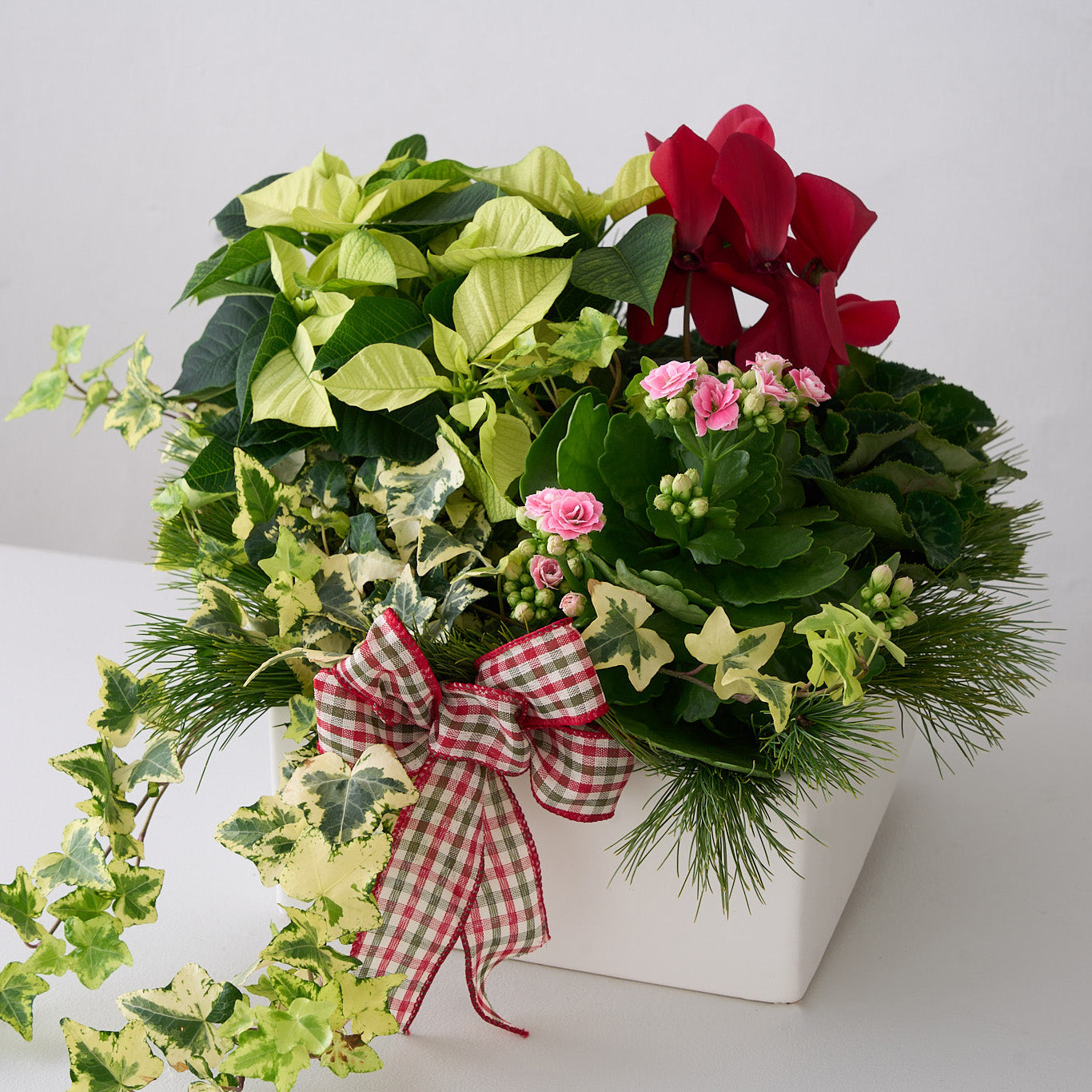 Jardinière de Noël