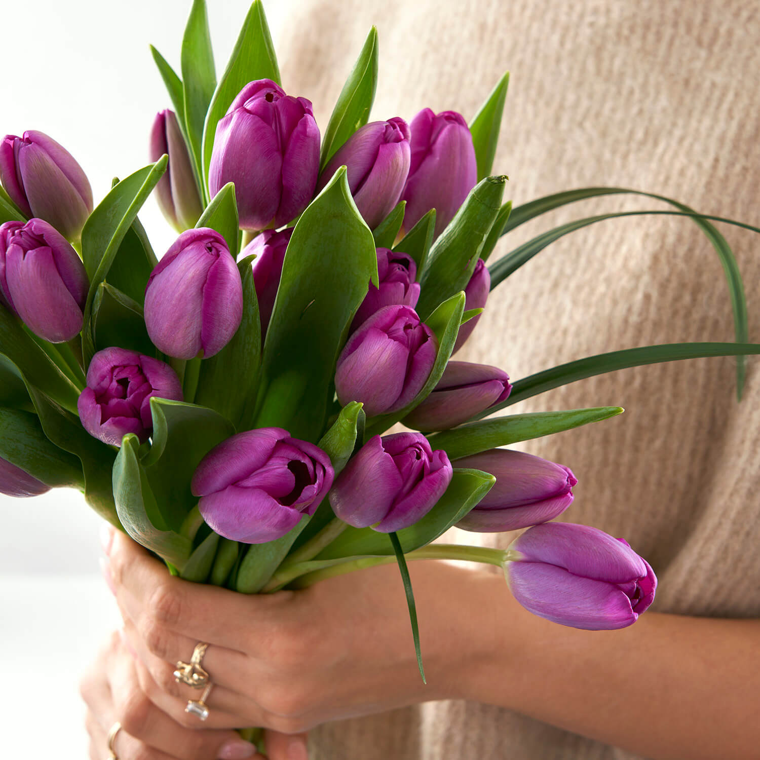 woman in beige sweater holding a handful of cut purple tulips