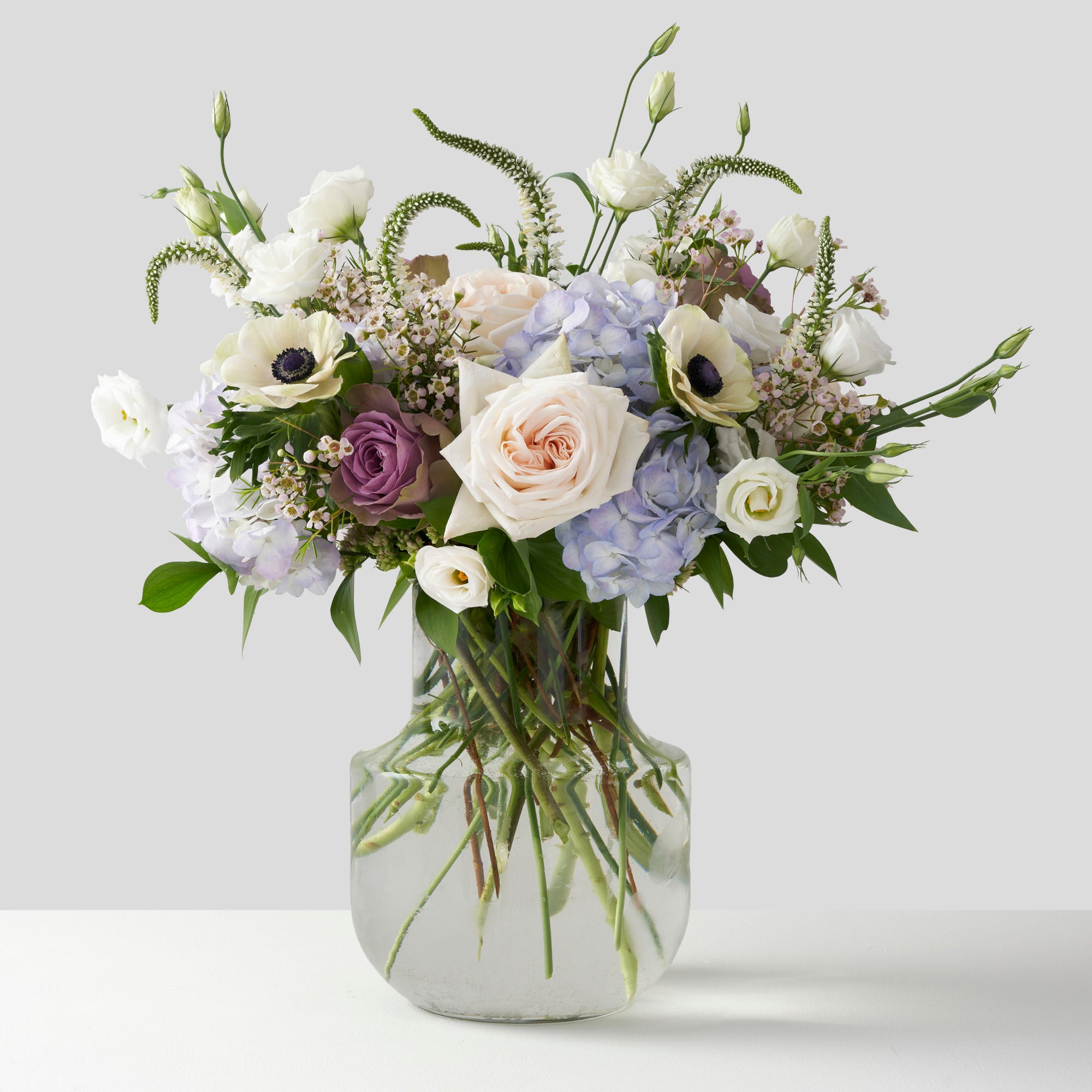 Clear glass vase containing lavender roses, blue hydrangea, white anemonies, white veronica, and white lisianthus in a loose airy style, on white background.