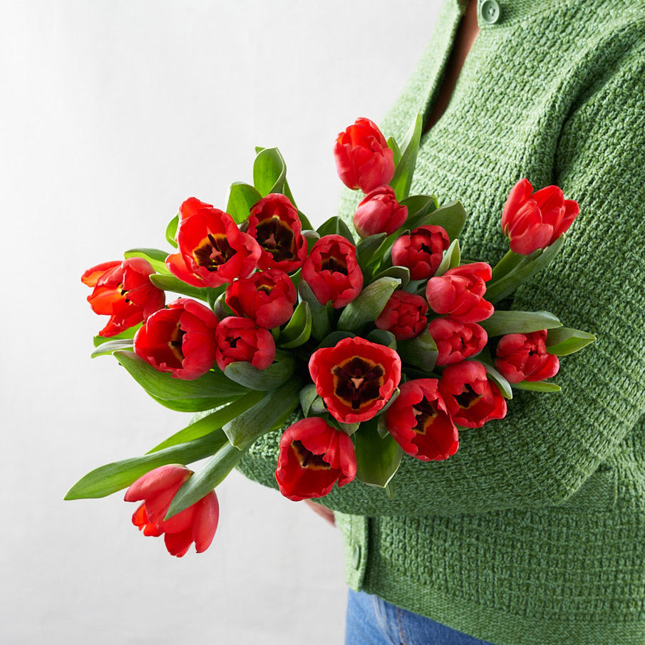 Woman in green sweater holding an bouquet of red tulips