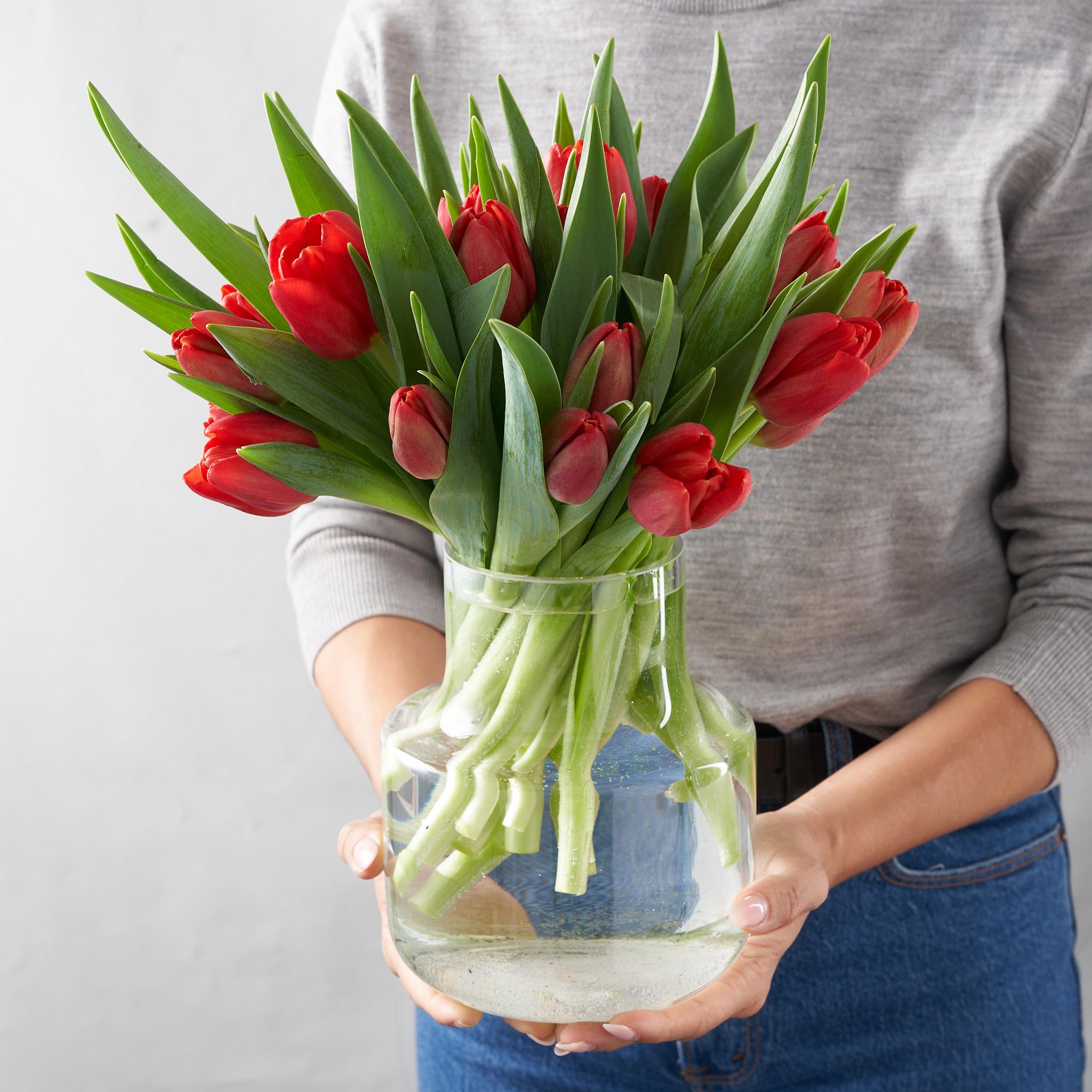 Rebecca (Tulipes rouges arrangées)
