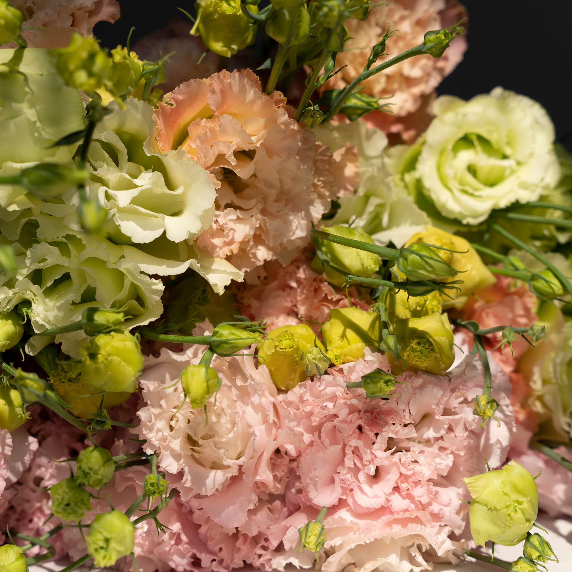 peach, pink and green-white ruffled Lisianthus 
