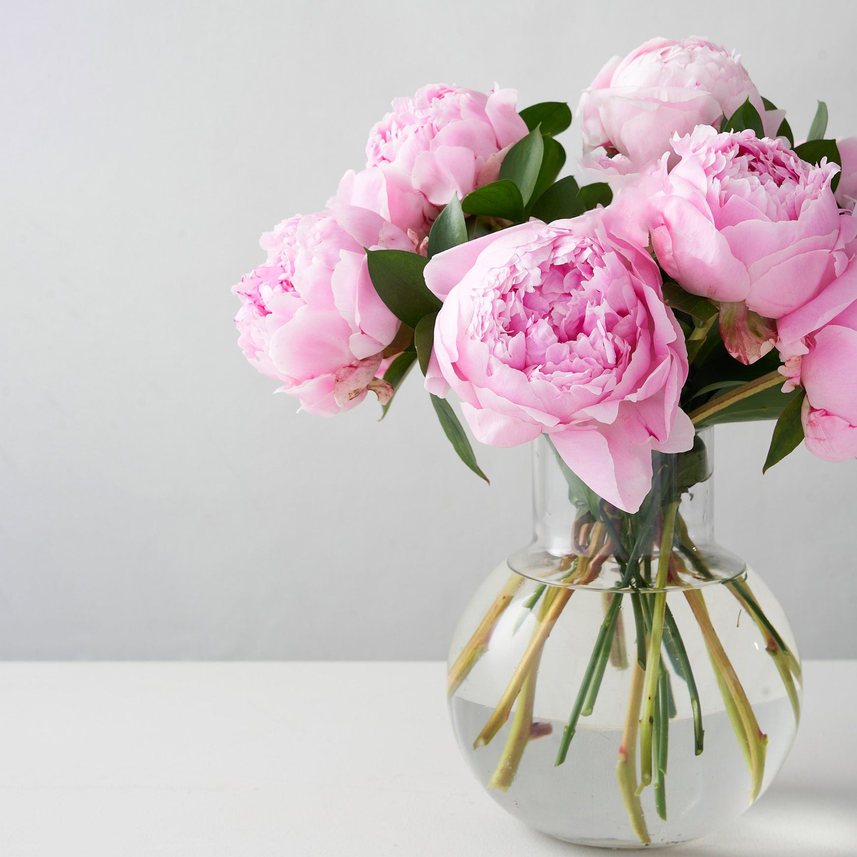 Side view of pink peonies in clear glass vase