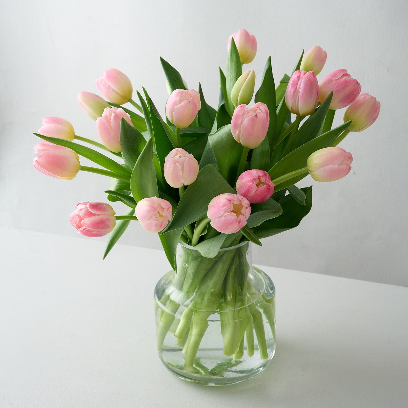 Pippa (Arranged Pink Tulips)