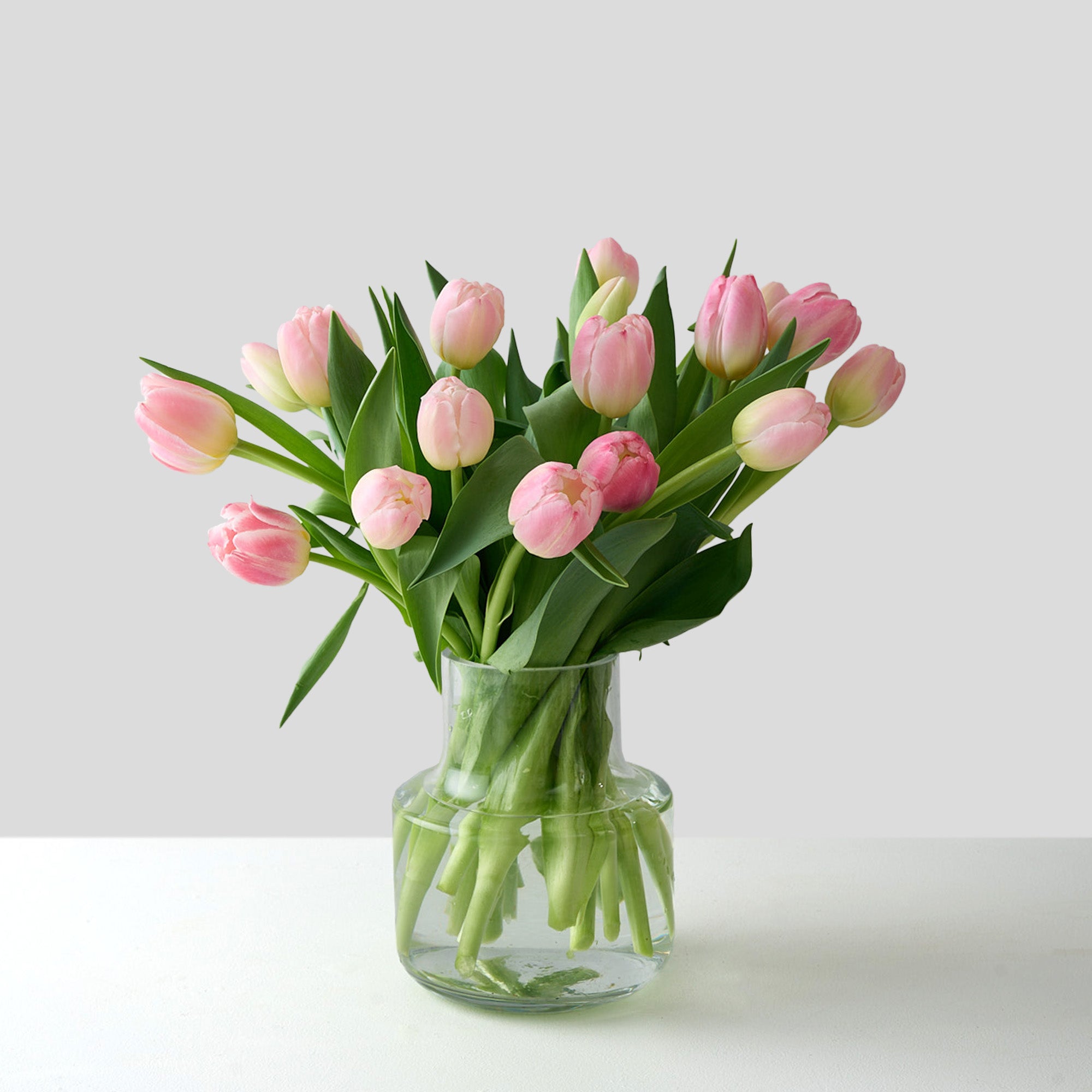 Pippa (Arranged Pink Tulips)