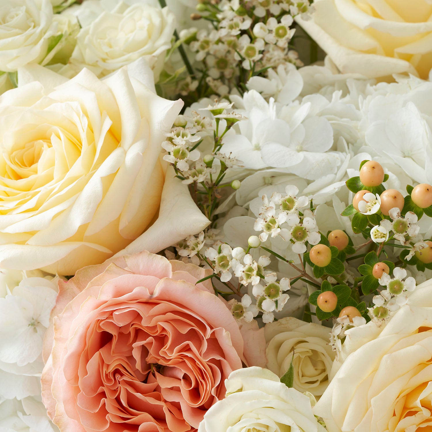 Close up of peach princess crown roses and cream candlelight roses with peach hypericum and wax flower.