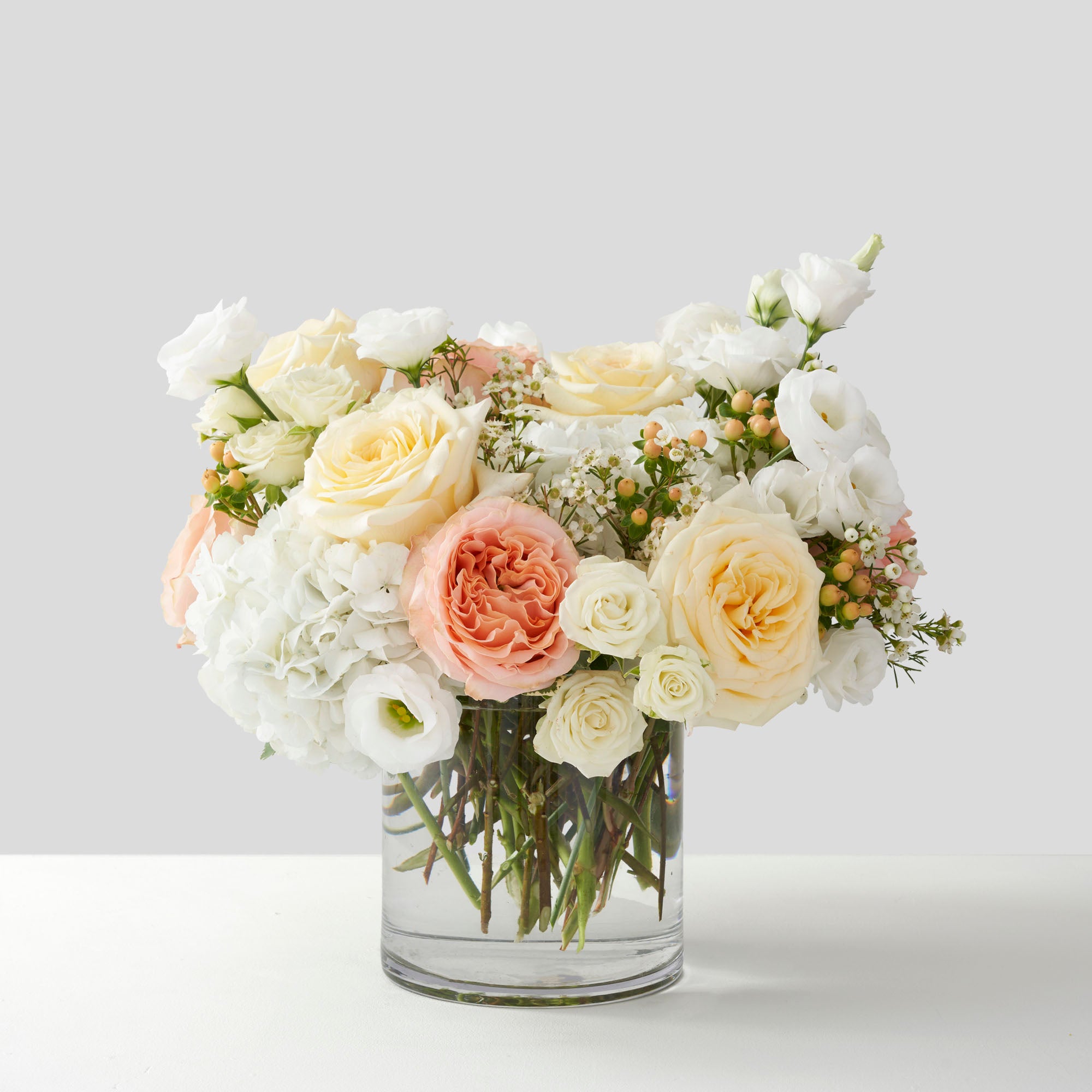 Arrangement of cream and peach garden roses with wax flowers, hydrangean and hypericum berries , on white background.