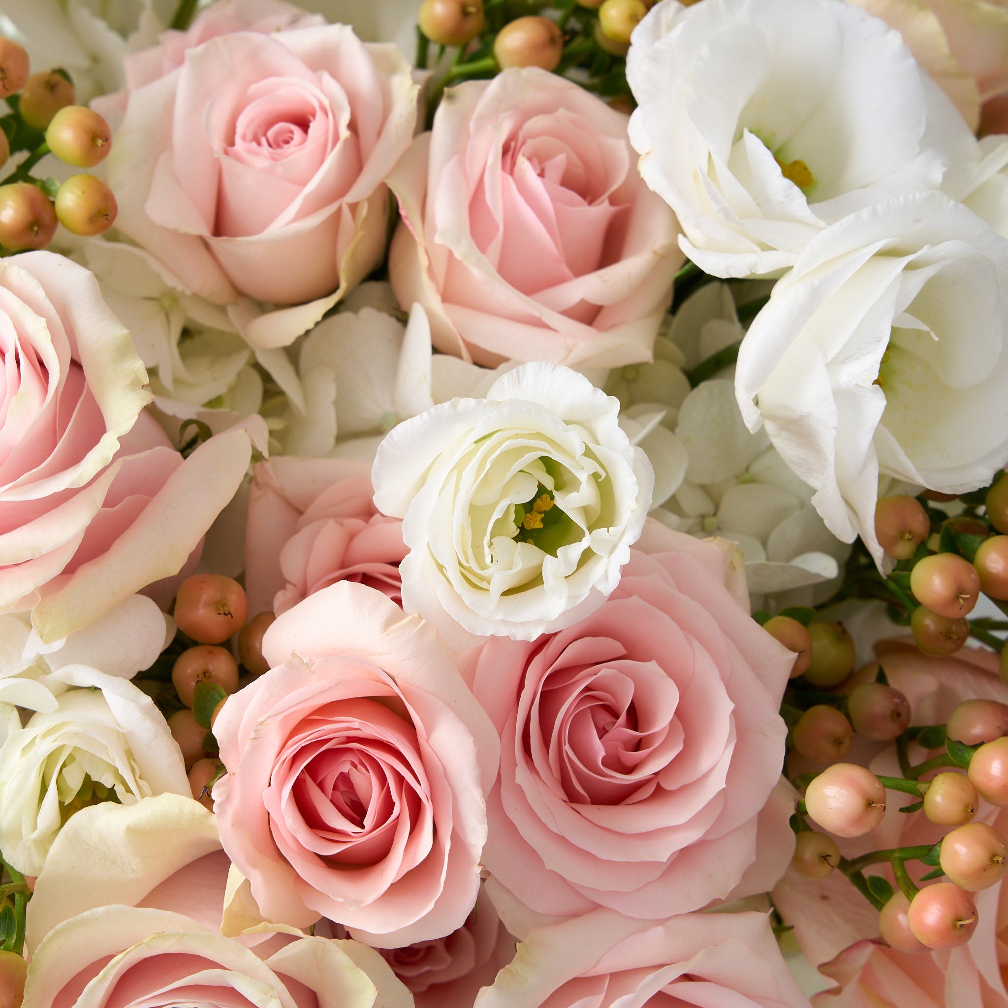 sophie pink roses, peach hypericum, white hydrangea in a clear cylinder vase