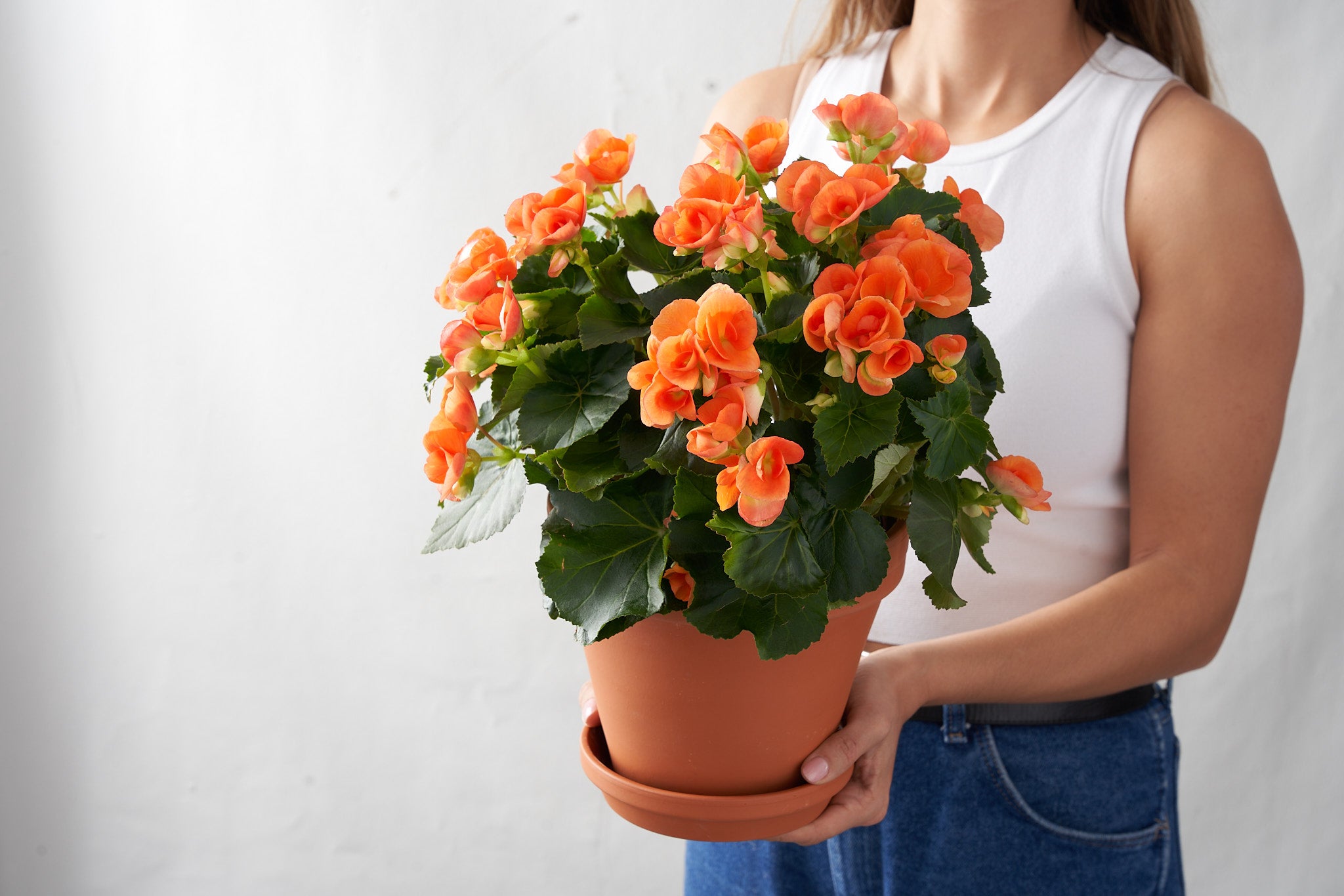 Woman in white holding a large terra cotta pot filled with vibrant orange begonia