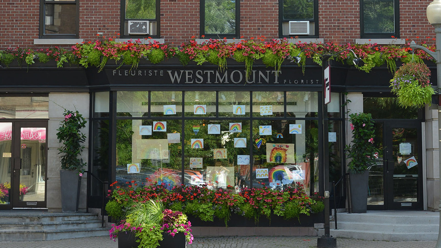 Our Stores Westmount Florists