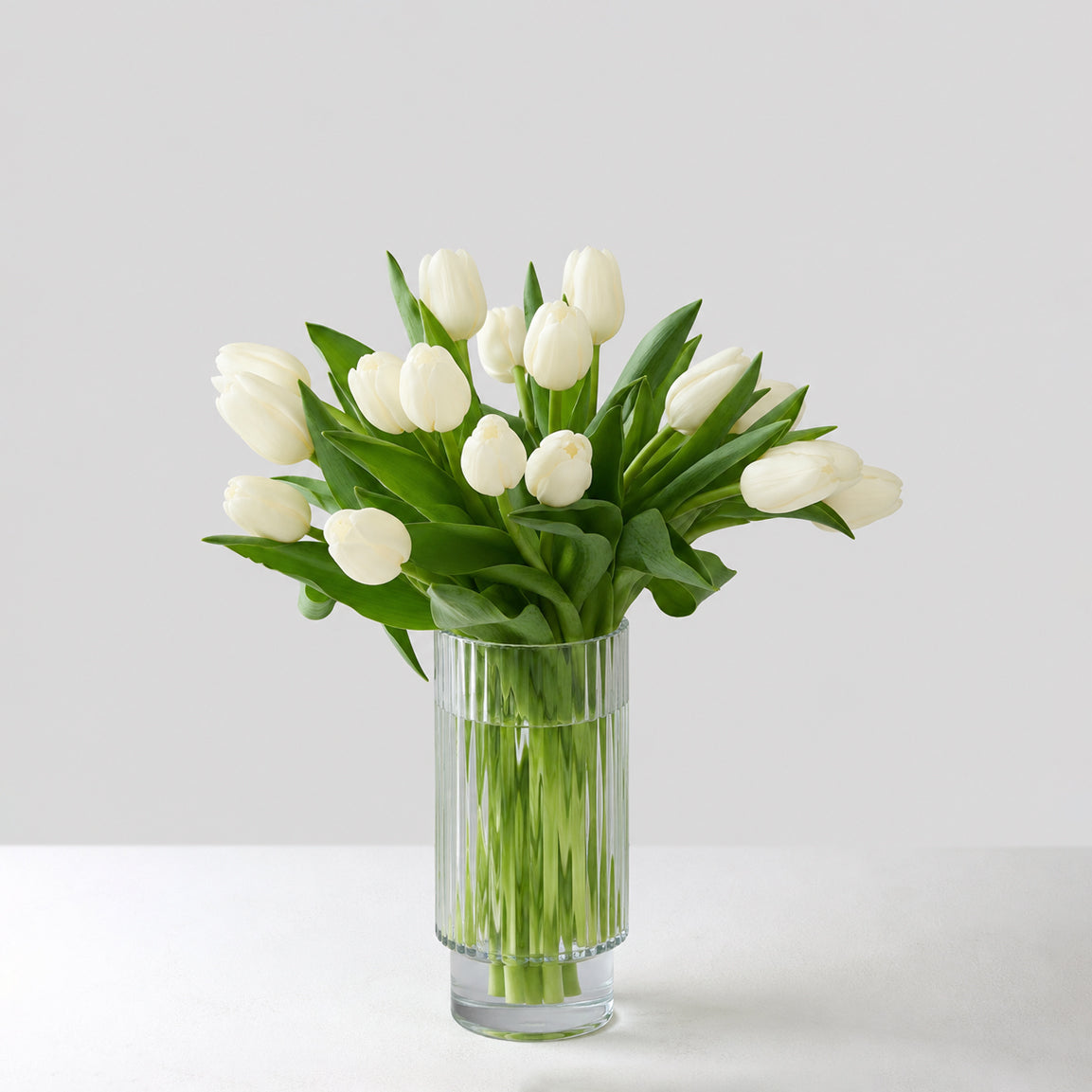 Willa (Tulipes blanches arrangées)