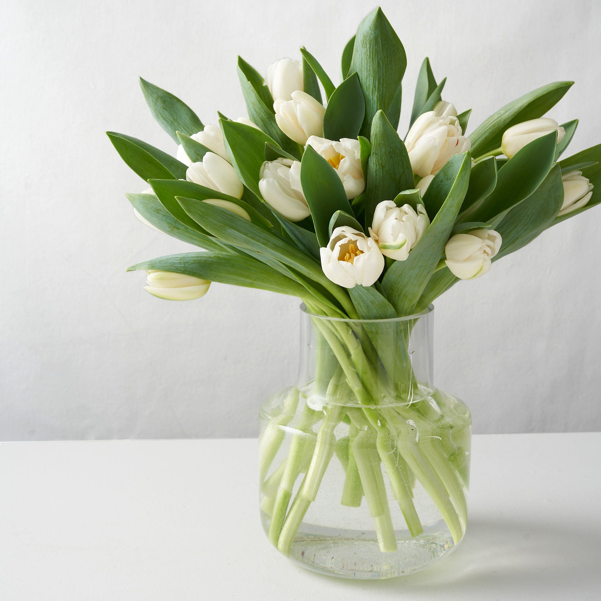 Willa (Tulipes blanches arrangées)