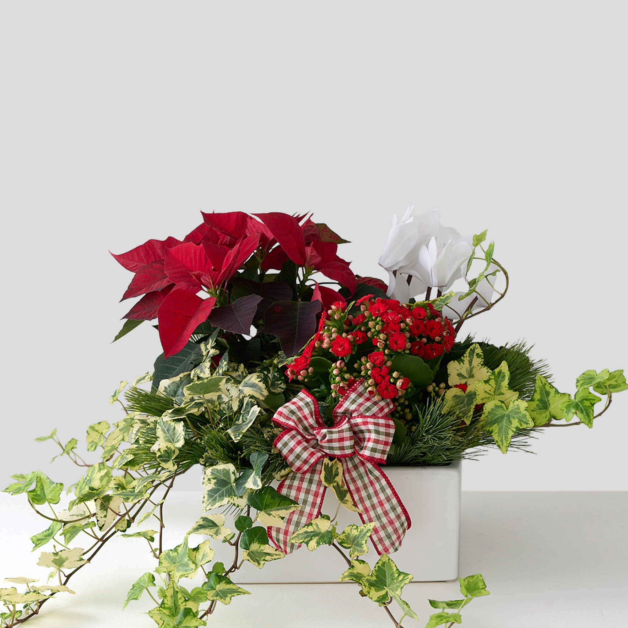 Holiday Planter White Ceramic