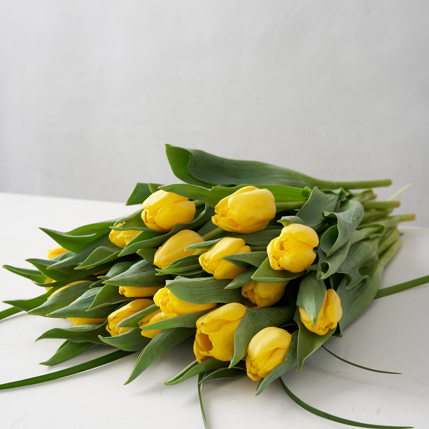 Display of a bundle of yellow tulips on a white table